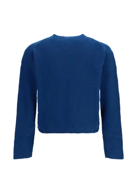 Rier wool V-neck sweater